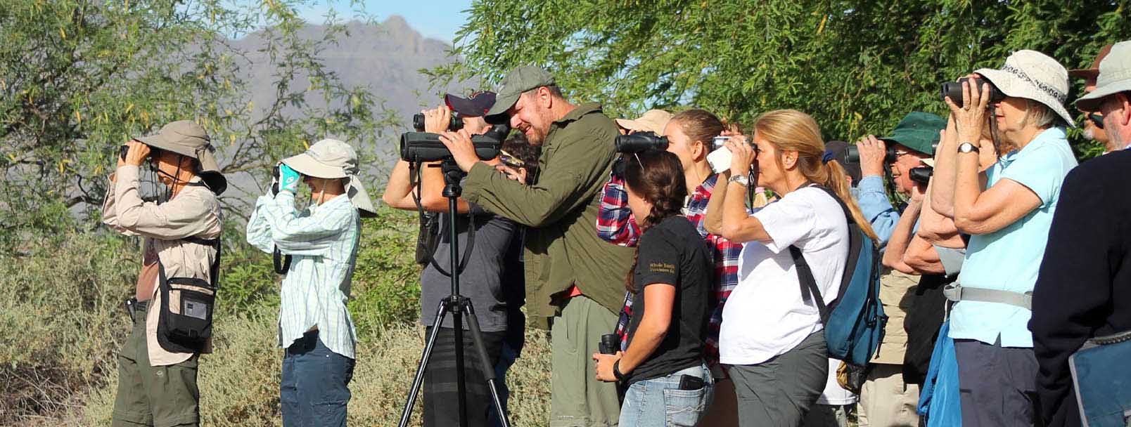 Birding Field Trips | Tucson Audubon Society