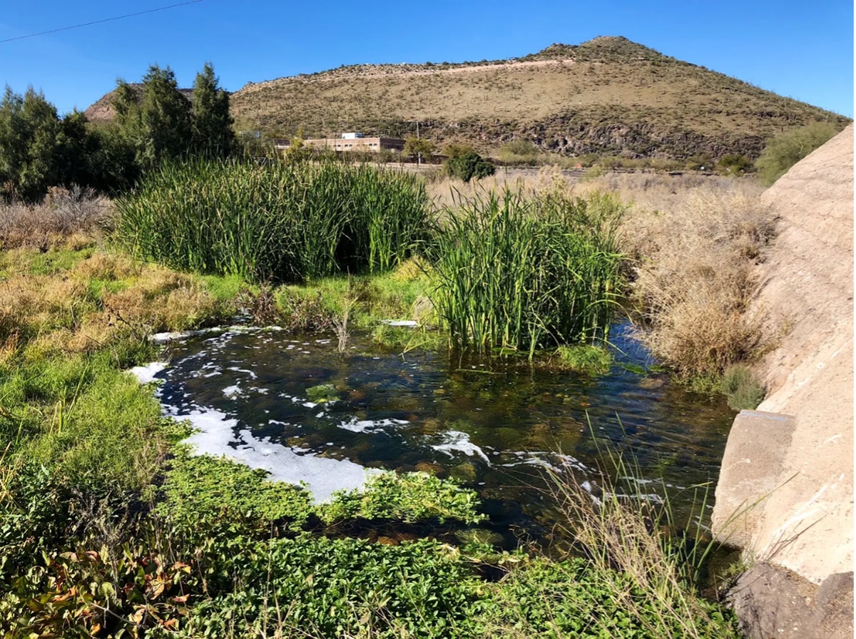 Santa Cruz River Tucson Audubon