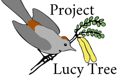 Project Lucy Tree